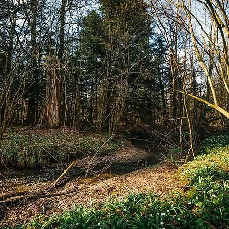 ''forest House '' будинок для відпочинку تريسكافيتس