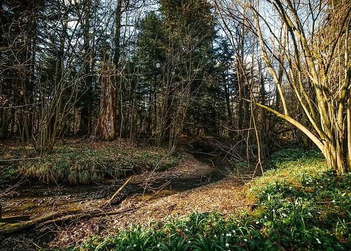 ''forest House '' будинок для відпочинку Truskavets