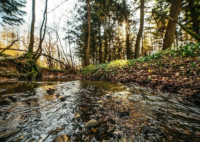 ''forest House '' будинок для відпочинку Hotell